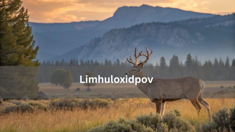 Limhuloxidpov – The Future Of Brain Disease Treatments!