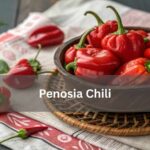Penosia Chili