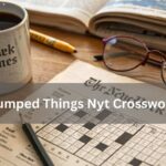 Bumped Things Nyt Crossword